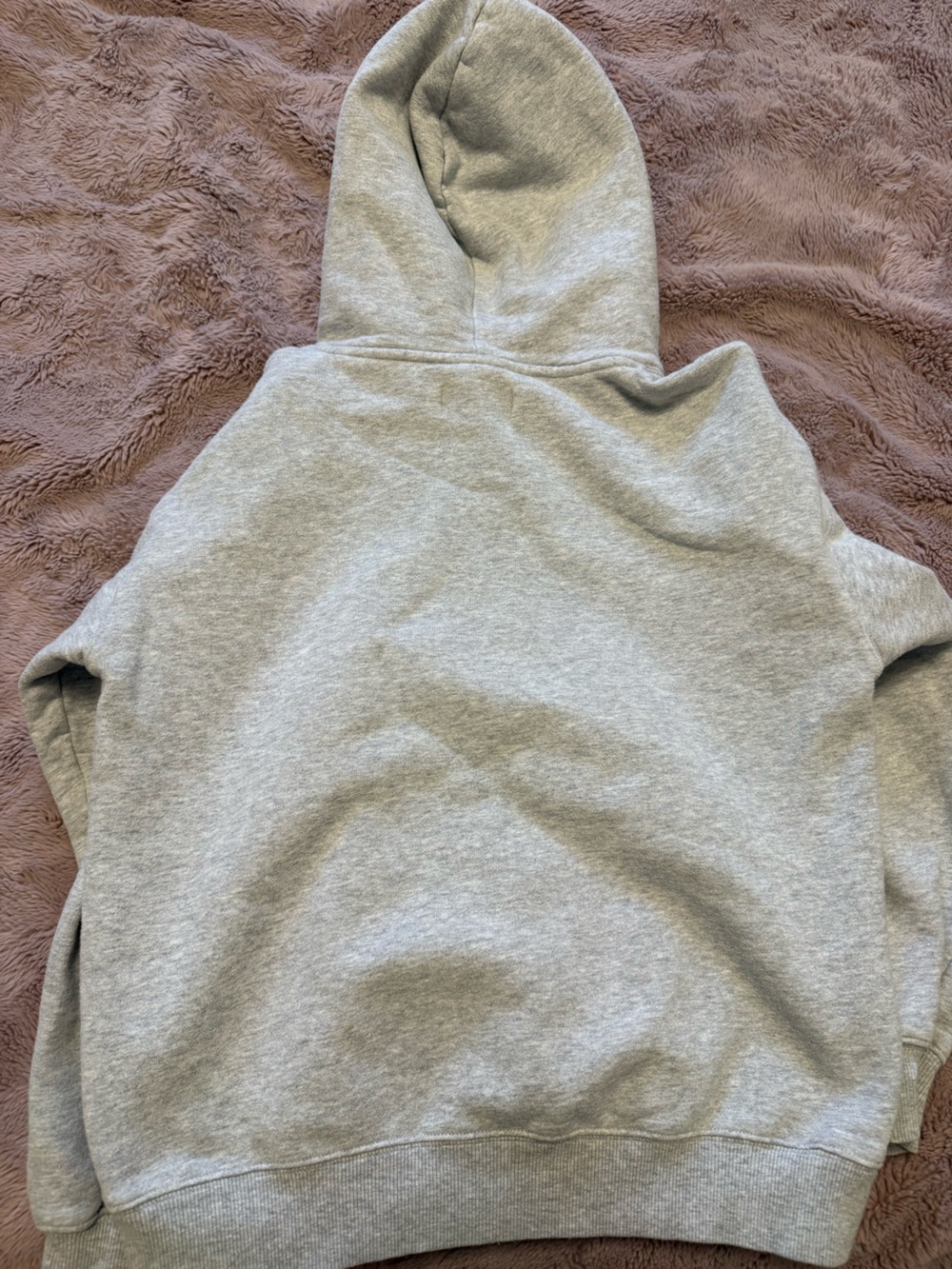 Aritzia Perfect Hoodie - Picture 4 of 4